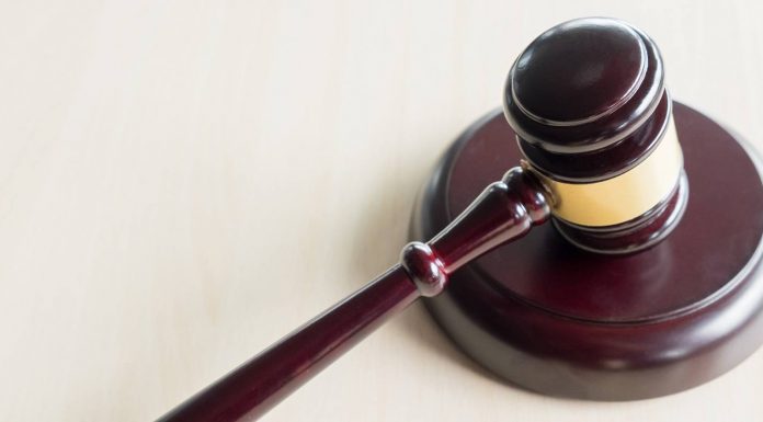 TST: JT deve julgar ação sobre saúde e segurança de empregados do Parque Zoobotânico de Teresina (PI)