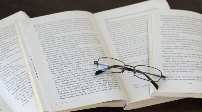 TST: Turma considera lícita terceirização do transporte de cana por usina de açúcar e álcool