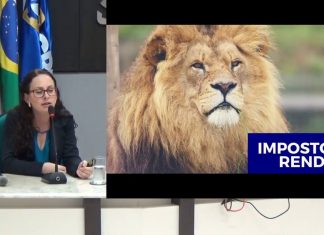 Palestra da INCENTIVE sobre incentivos fiscais – CRC/SC