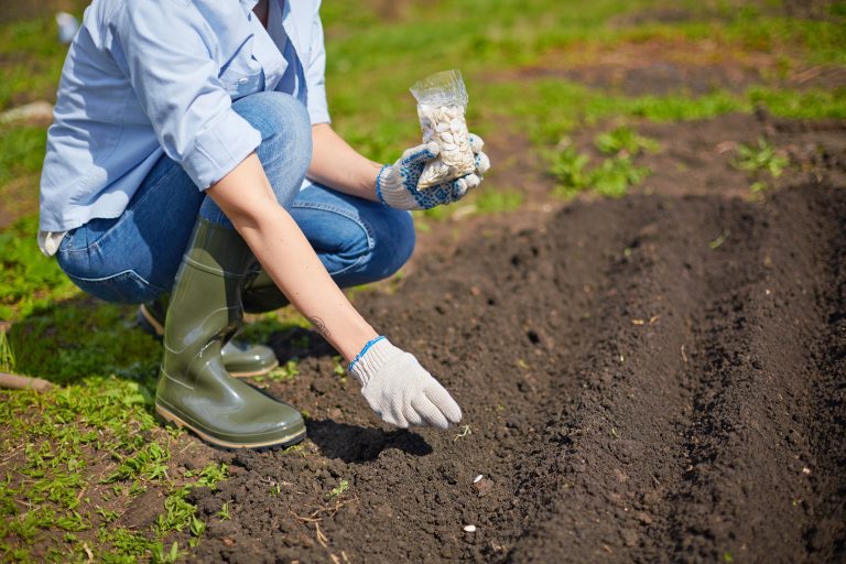 TRF4: Mulher que auxiliava os pais em trabalho rural tem direito a salário-maternidade (29/08/2019)