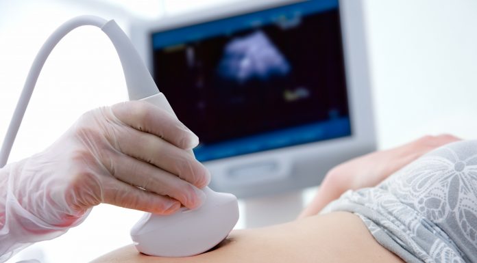 TRF4: TRU: contribuições ao INSS após início da gravidez não impedem recebimento de salário-maternidade (18/12/2020)