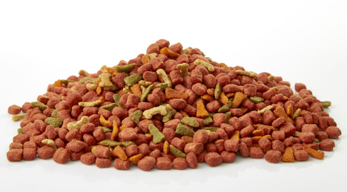 TRF4: Embalagens de ração para cães e gatos com mais de 10 kg não pagam IPI (14/10/2021)