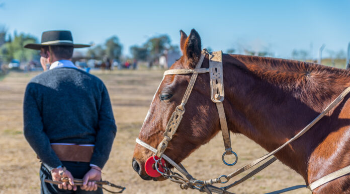 TRF4: Ex-prefeito e ex-secretário de São Lourenço do Sul são condenados por irregularidades em Festival (20/10/2021)