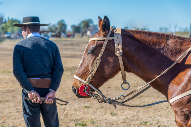 TRF4: Ex-prefeito e ex-secretário de São Lourenço do Sul são condenados por irregularidades em Festival (20/10/2021)