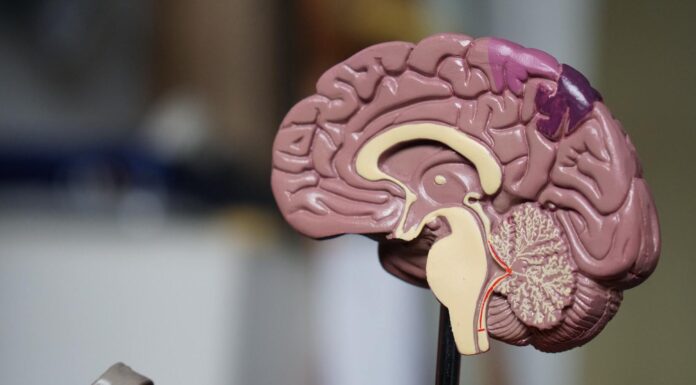 TRF4: Tribunal concede benefício assistencial para homem que sofre de epilepsia (30/11/2021)