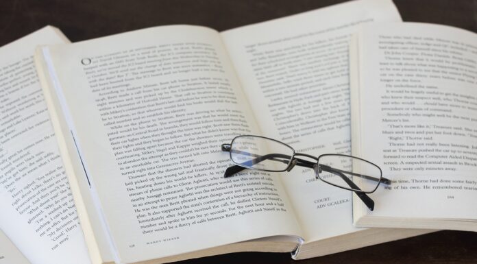 TST: Tribunal mantém reconhecimento de vínculo de motorista de carga com transportadora