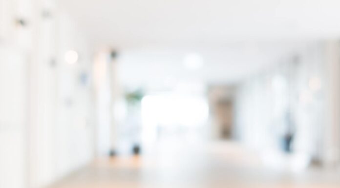 TST: Presidente do Tribunal e juízes brasileiros participam de encontro sobre direitos sociais no Vaticano