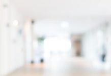 TST: Empresa agroflorestal é condenada em R$ 4 milhões por assédio eleitoral em 2022