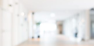 TST: Empresa agroflorestal é condenada em R$ 4 milhões por assédio eleitoral em 2022